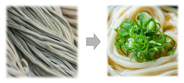 Udon Noodles