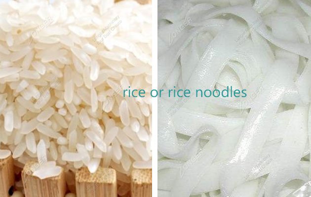 Rice or Rice Noodles