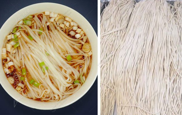 Fresh Noodles